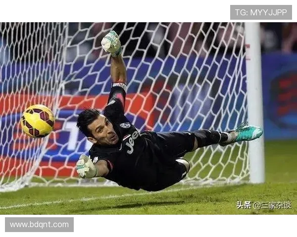 法甲历史最佳门将TOP10:守门传奇的荣耀篇章